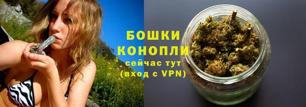 молекула духа Лагань