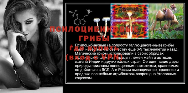 молекула духа Лагань