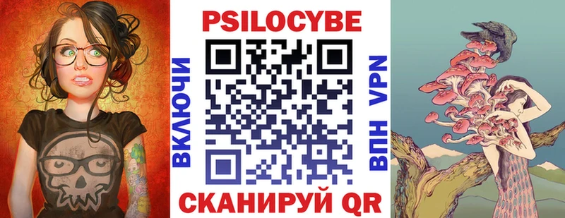 Купить  Каменка  Галлюциногенные грибы Psilocybe 